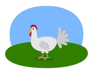 Illustration of a white hen with green meadow and blue sky