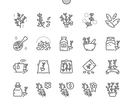 Thyme. Nature ingredient, spice. Cooking, recipes and price. Food shop, supermarket. Thyme oil. Pixel Perfect Vector Thin Line Icons. Simple Minimal Pictogram