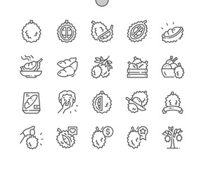 Durian tropical fruit. Healthy delicious. Whole and cut durian. Food shop, supermarket. Menu for cafe. Pixel Perfect Vector Thin Line Icons. Simple Minimal Pictogram
