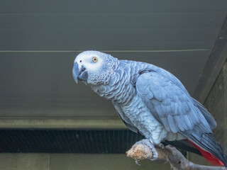 Timaru_01_March_2023