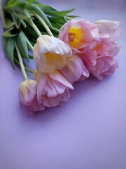 Tulips and bright background.Bouquet of flowers.Mother's day.Woman's day.