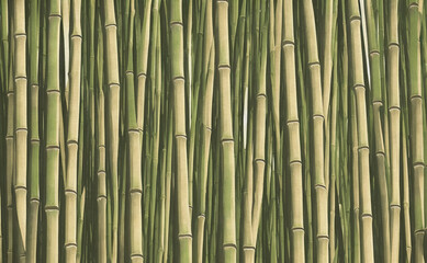 Green bamboo stems. Bamboo thickets, decorative scenic background. Generative AI