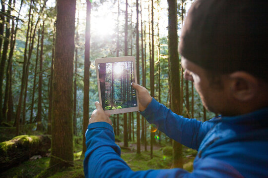 A man uses a tablet to take a picture of the morning sun shining through the forest.