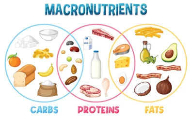 Acrylic prints Kids Main food groups macronutrients vector