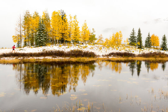 A woman trail running  on Molas Pass near Silverton, Colorado.