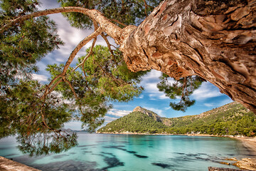 Shoreline along Cala Formentor.