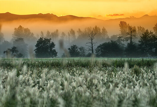 Sunrise in the Gorbea Natural Park. Vasco Country. Spain