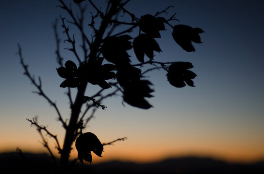 Dusk settles over the White Sands National Monument, New Mexico.