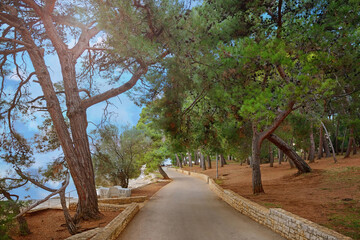 Stone walkway path by the Adriatic sea with a beautiful pine forest in Porec, Istria region, Croatia.Nature beauties. Touristic place - 577304978