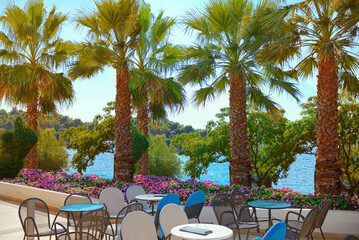 Sunny view of caffe , Coconut palm trees by the Adriatic Sea  , Porec location on Istrian Peninsula in western Croatia.Traveling concept background - 577304995