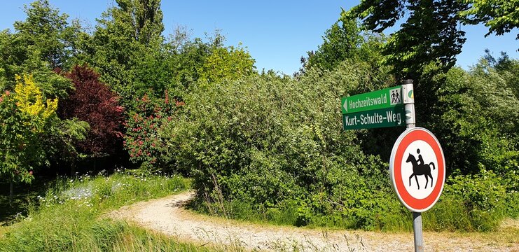 Hochzeitswald in B&uuml;sum