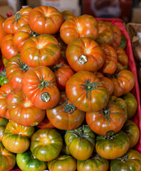 A pile of tomatoes with the word raf type on the side 
