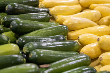Yellow Squash and Zucchini