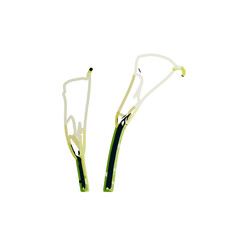 Color sketch of lilies with transparent background