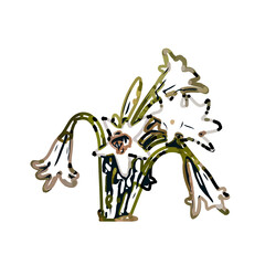 Color sketch of lilies with transparent background