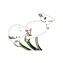 Color sketch of lilies with transparent background