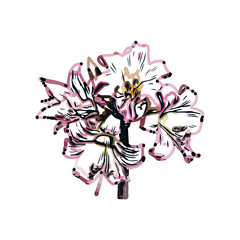 Color sketch of lilies with transparent background