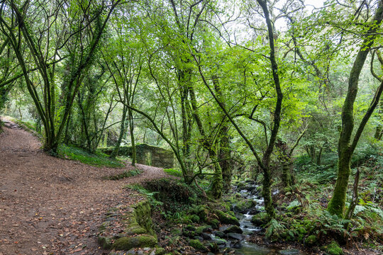 Ruta da Pedra e da Auga, en Meis (Galicia, Espa&ntilde;a)