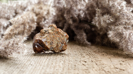 Raw andradite rock mineral sample on wood