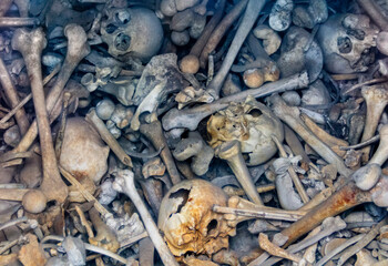 Human bones at Douaumont Ossuary