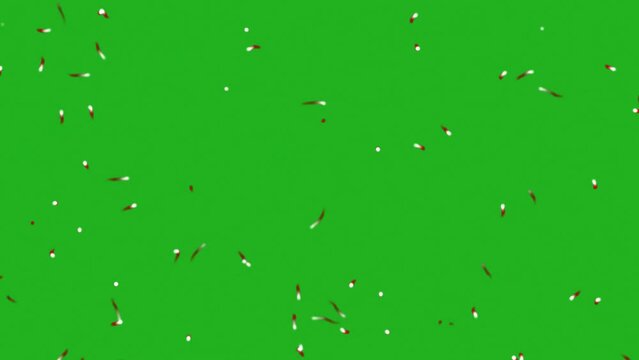 Moving worms green screen motion graphics