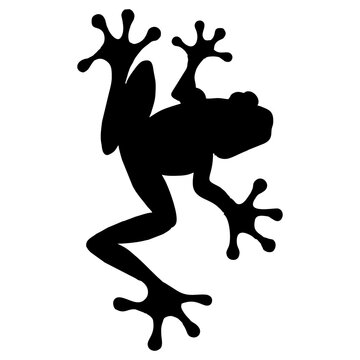 silhouette frog