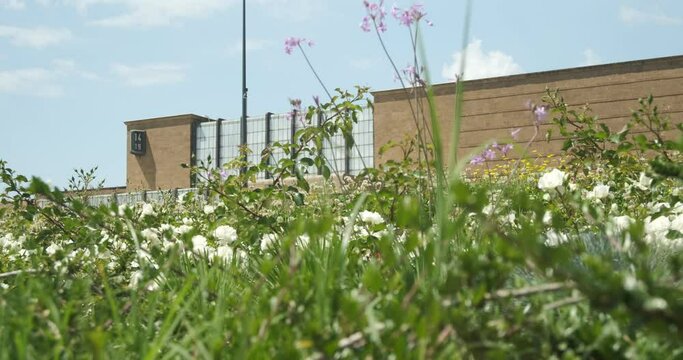 Florence railway station. Florence Santa Maria Novella station.The rationalist building emerges from the meadow with flowers and grass. 