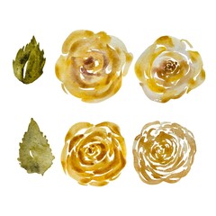 Rose flower bud leaves set watercolor sketch