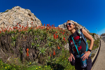 Female hiker enjoying the flowing succulent garden in Gibraltar  - obrazy, fototapety, plakaty