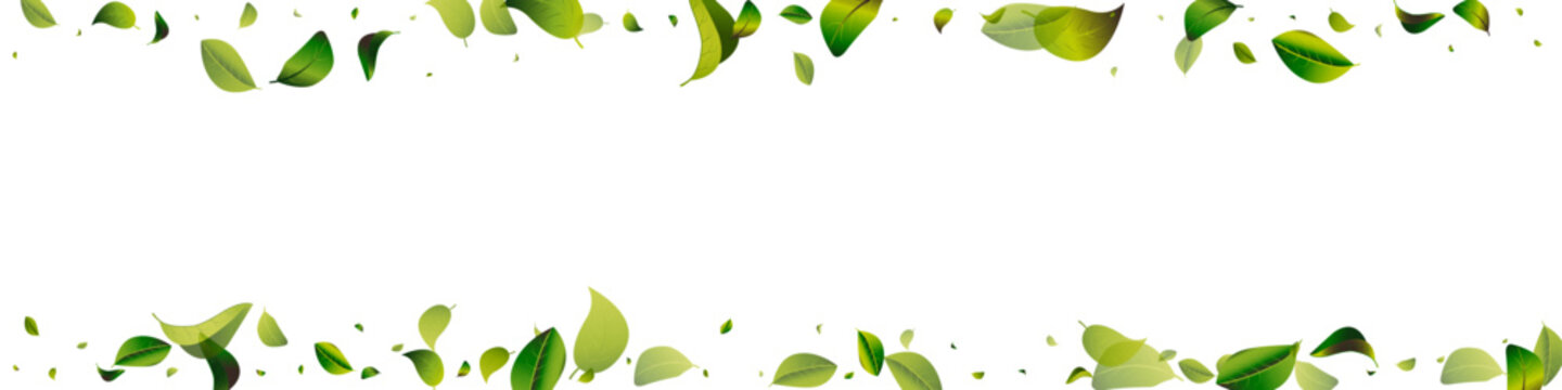 Green Foliage Abstract White Panoramic Vector