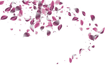 Lilac Leaf Swirl Vector White Background