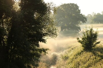 Rural landscape on a misty spring morning, June, Poland - 577334797