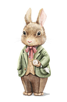 Watercolor vintage boy bunny rabbit in suit holding gold pocket watch isolated on white background. Hand drawn illustration sketch