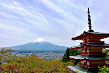 Obraz premium Mt. Fuji seen from the shrine