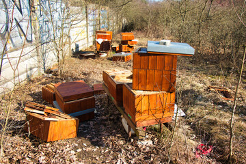 Damaged bee hive hidden in a park in winter sunny day. Czech Republic.