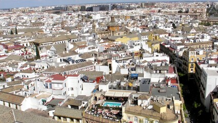 Fototapeta premium view of the city