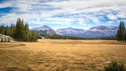 La prairie de Tuolumne Meadows dans le parc de Yosemite