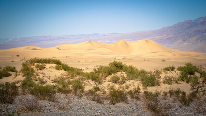 Fototapeta na wymiar Dunes de Mesquite flat sand dans la vallée de la mort