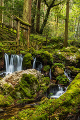 日本　福井県三方上中郡若狭町にあるの若狭瓜割名水公園の森中にある瓜割の滝