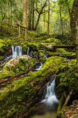 Obraz premium 日本 福井県三方上中郡若狭町にあるの若狭瓜割名水公園の森中にある瓜割の滝