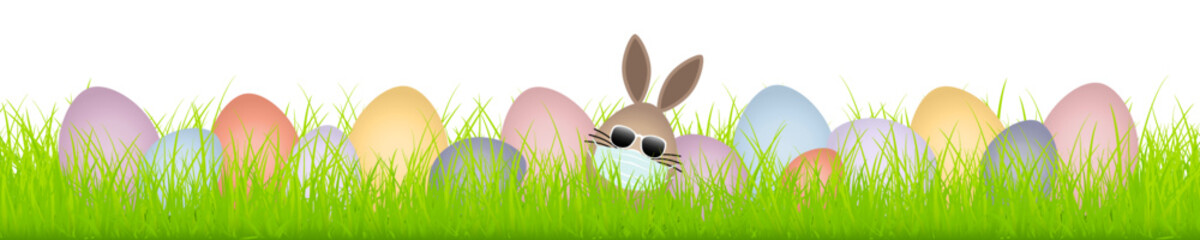 Osterwiese Braunes Hasenei Maske Sonnenbrille & 14 Bunte Ostereier