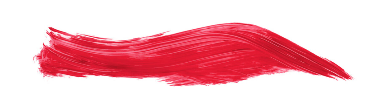Ruddy brush isolated on white background, red brush Scarlet Sage