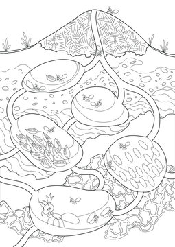 Ants in their nest in coloring style. Anthill in section under ground. Termite nests with labyrinths. House forest insects. Family of wild animals. Hand drawn vector illustration