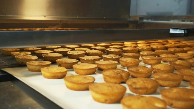 Industrial food factory or bakery, cookies on automated production line or conveyor belt, 