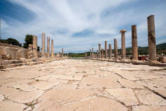 Ruins Of Ancient Roman Forum