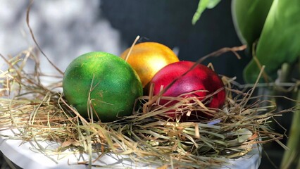 Easter colorful eggs rotate in nest with hey outdoor in sunny warming day.