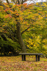 Plakat 日本　福井県三方上中郡若狭町にある若狭と京都を結ぶ旧鯖街道の熊川宿にある松木神社と紅葉した木々