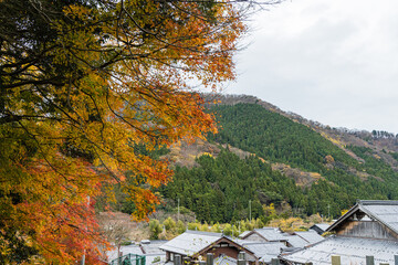 日本　福井県三方上中郡若狭町にある若狭と京都を結ぶ旧鯖街道の熊川宿にある松木神社と紅葉した木々