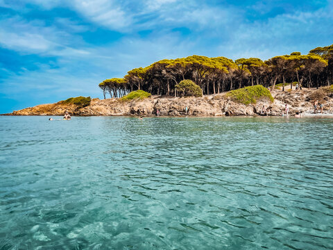 Steink&uuml;ste mit Pinienwald Sardinien 