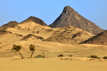 SAHARA DESERT LANDSCAPE AROUND DJANET OASIS IN ALGERIA
